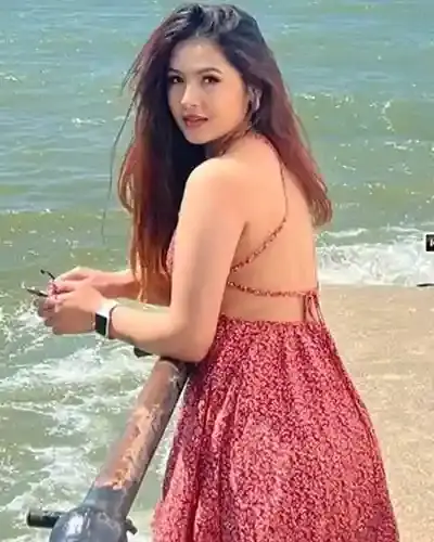 Saputara Escort Service