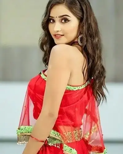 Escort In Saputara